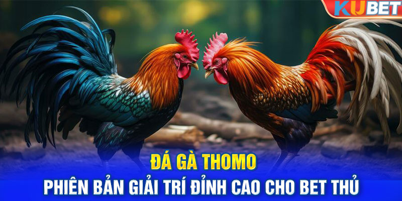 Đá Gà Thomo - Phiên Bản Giải Trí Đỉnh Cao Cho Bet Thủ