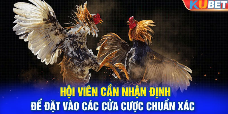 Hội viên cần nhận định để đặt vào các cửa cược chuẩn xác 